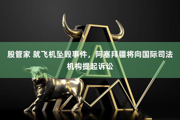 股管家 就飞机坠毁事件，阿塞拜疆将向国际司法机构提起诉讼