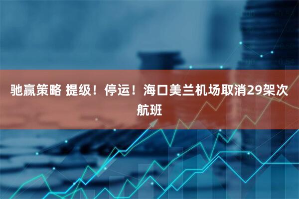 驰赢策略 提级！停运！海口美兰机场取消29架次航班