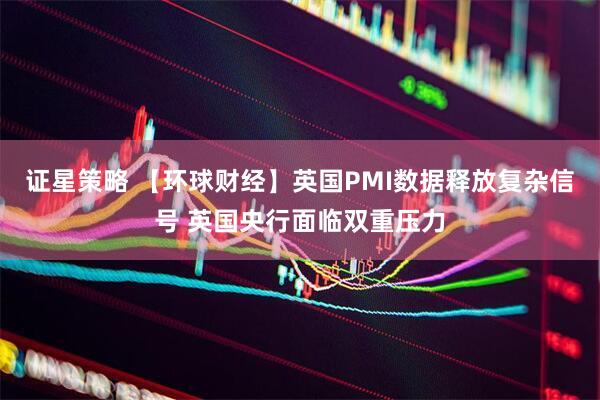 证星策略 【环球财经】英国PMI数据释放复杂信号 英国央行面临双重压力