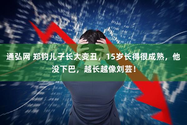 通弘网 郑钧儿子长大变丑，15岁长得很成熟，他没下巴，越长越像刘芸！